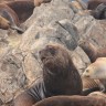 Ushuaia, Argentina