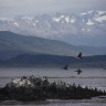 Ushuaia, Argentina