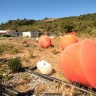Chiloe, Chile