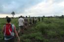 Walking in the bush
