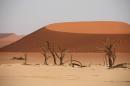 Deadvlei.JPG