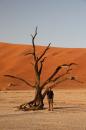 At_Deadvlei.JPG