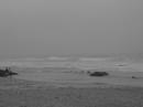 IMG_5493.JPG