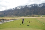The range