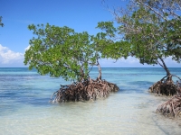IMG_6825.JPG