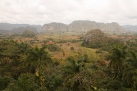 IMG_8998.JPG