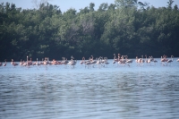 IMG_9108.JPG