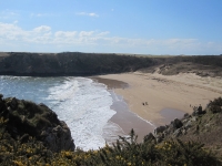 Barafundle Beach