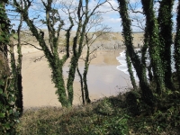 Barafundle Beach