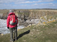 Stackpole Head