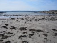 West Angle beach
