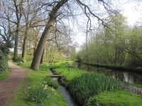 Local gardens