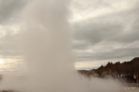 Geysir