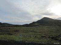 IMG_7304.JPG