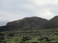 IMG_7305.JPG