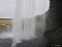 IMG_7310.JPG