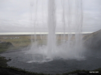 IMG_7312.JPG