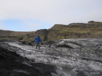 IMG_7333.JPG