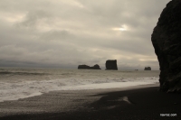 IMG_9708.JPG