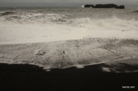 IMG_9711.JPG