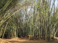 IMG_7576.JPG