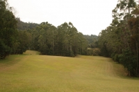IMG_9862.JPG