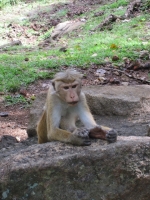 IMG_7656.JPG